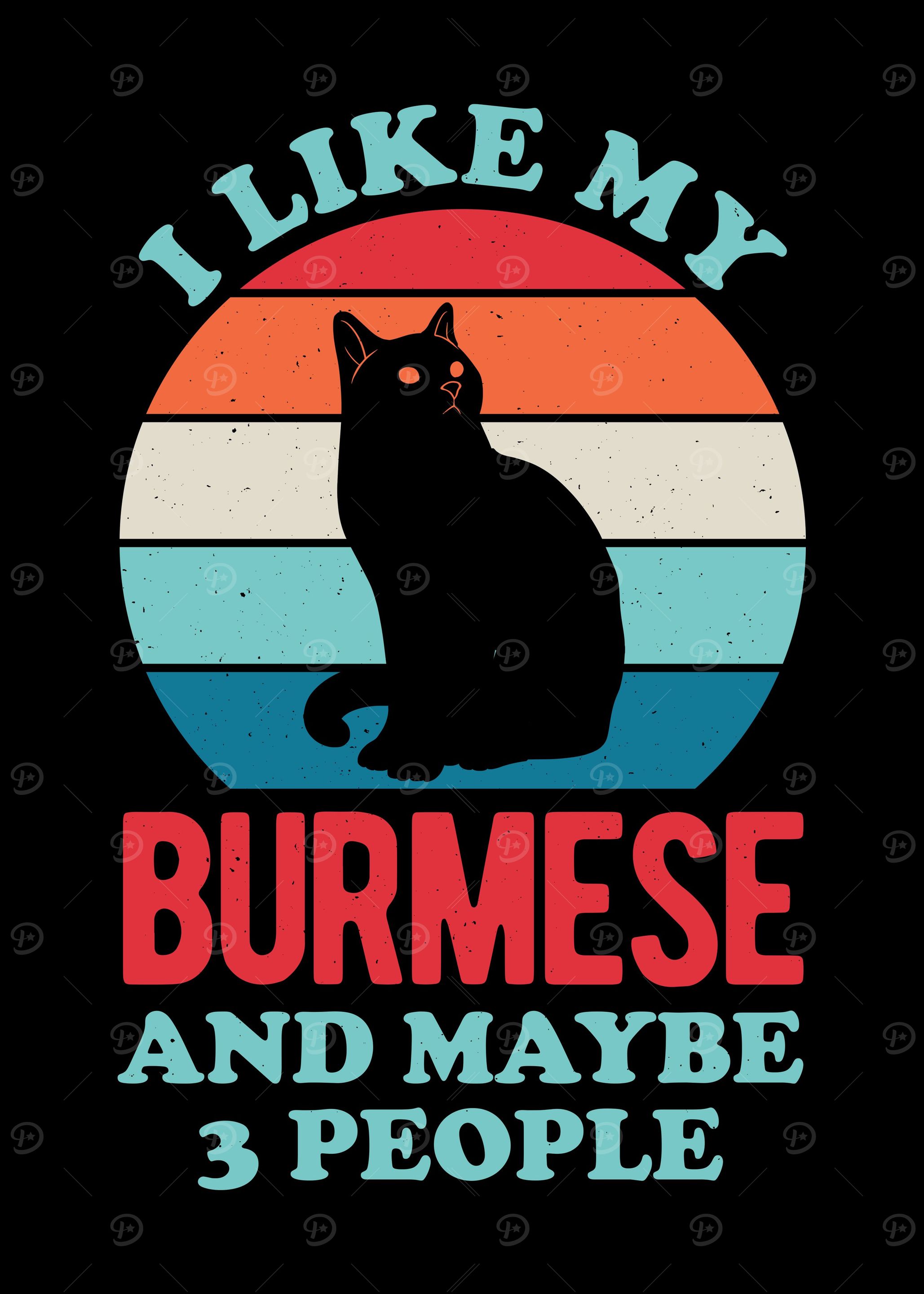 Burmese Cat Funny