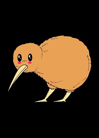 Cute Kiwi Bird