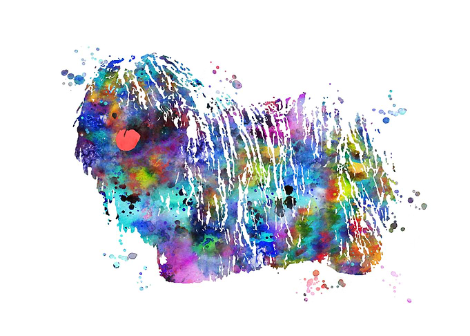 Hungarian Puli