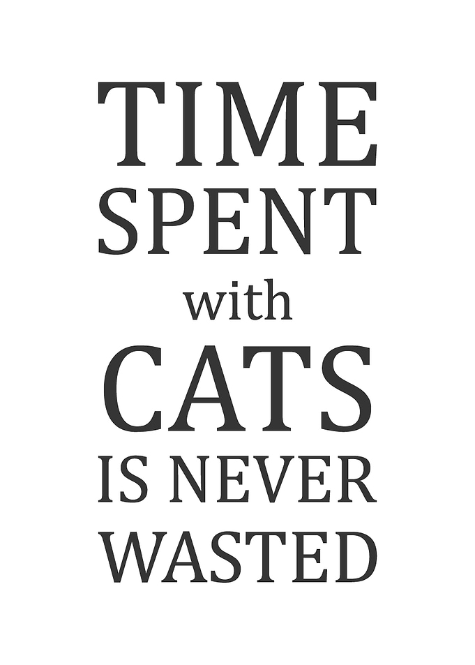 Cats Funny Quote