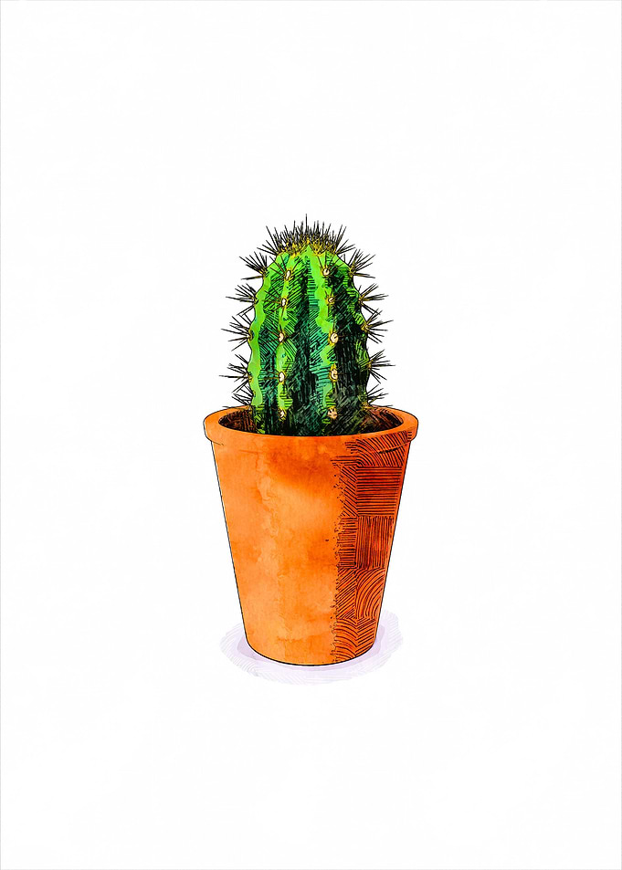 mini pot decoration