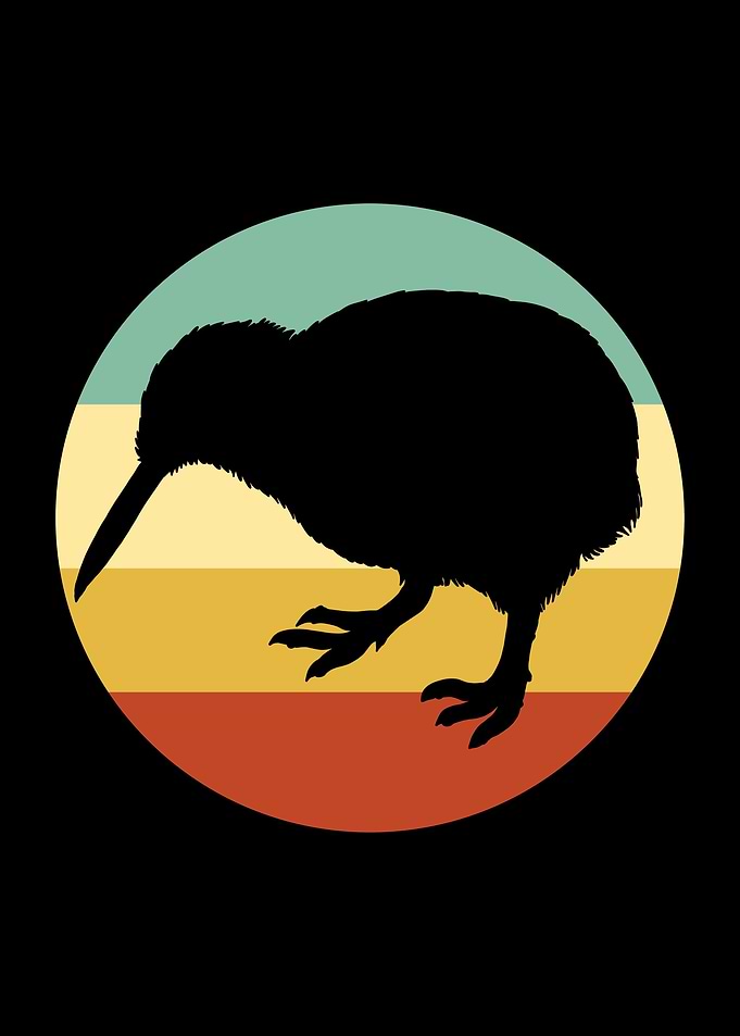 Kiwi Bird Retro