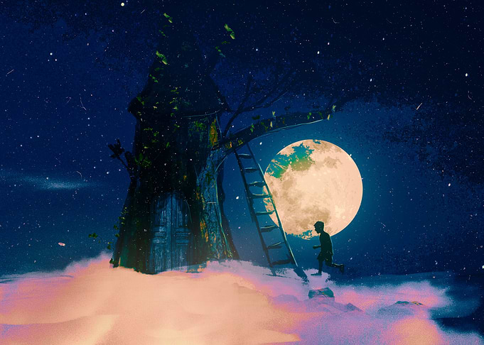 Tree House
