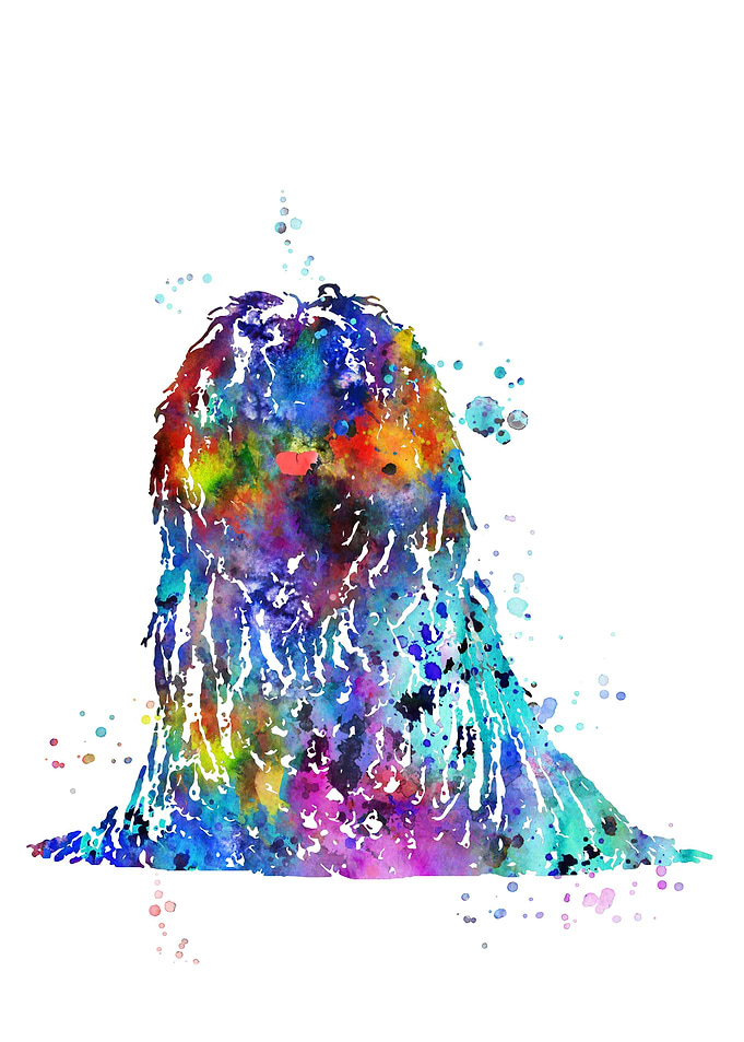 Hungarian Puli