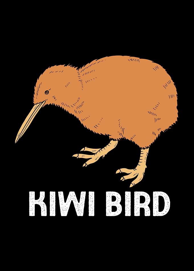 Kiwi Bird