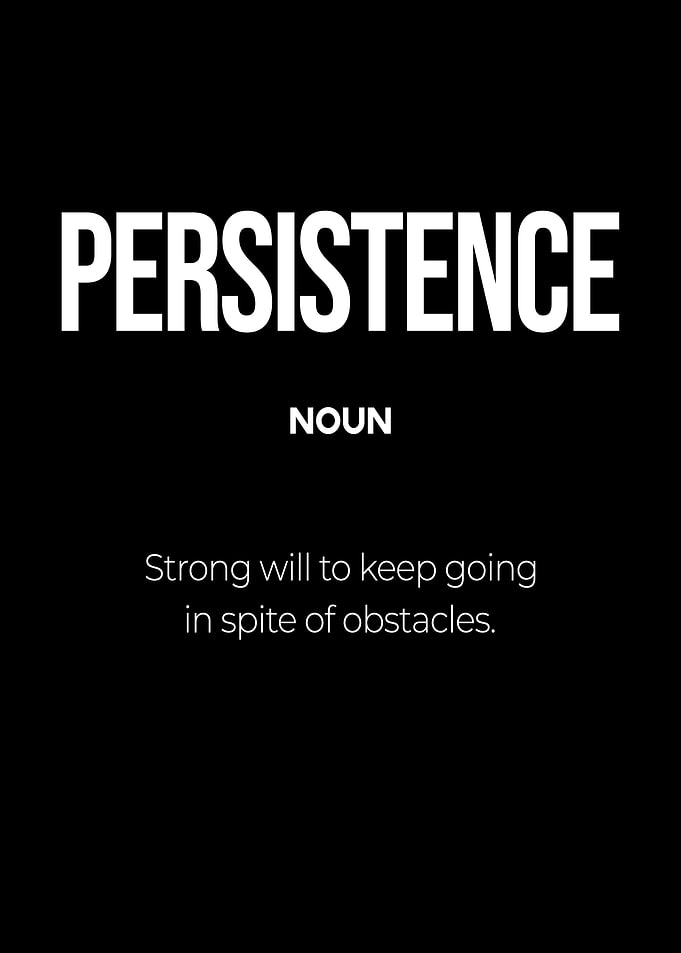Persistence Definition