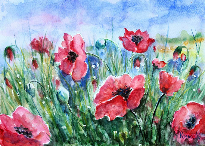 Field Of Poppies