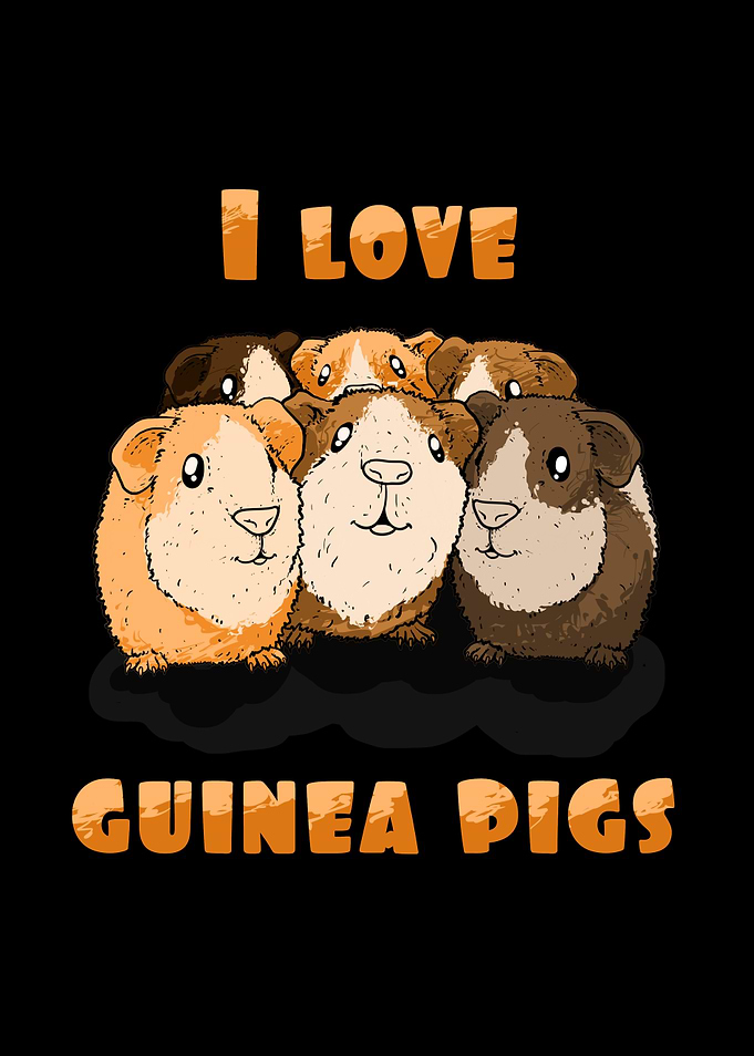 I love Guinea Pigs