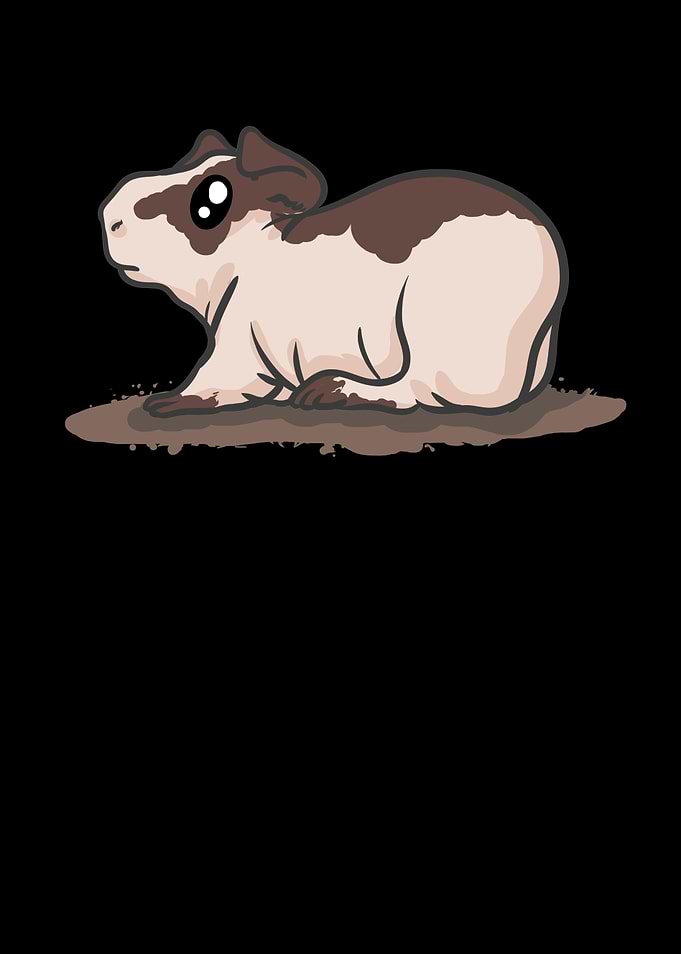 Baldwin Guinea Pig