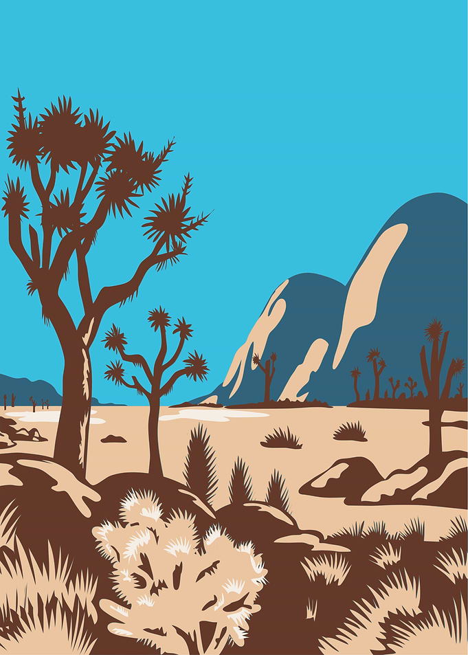 Joshua Tree National Park