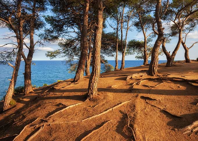 Sea Coast Landscape
