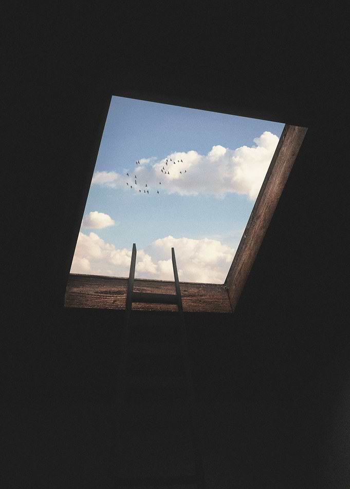Escape the chaos