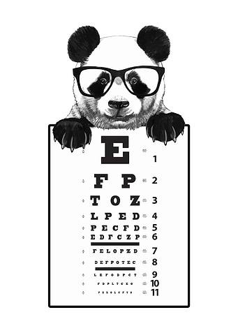 Funny and Cute Panda