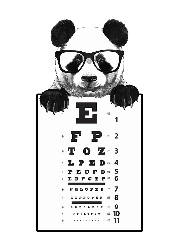 Funny and Cute Panda