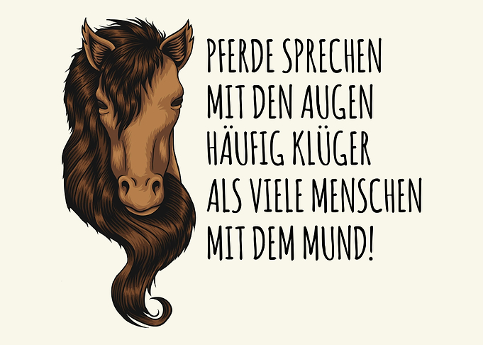 Super Pferde Spruch