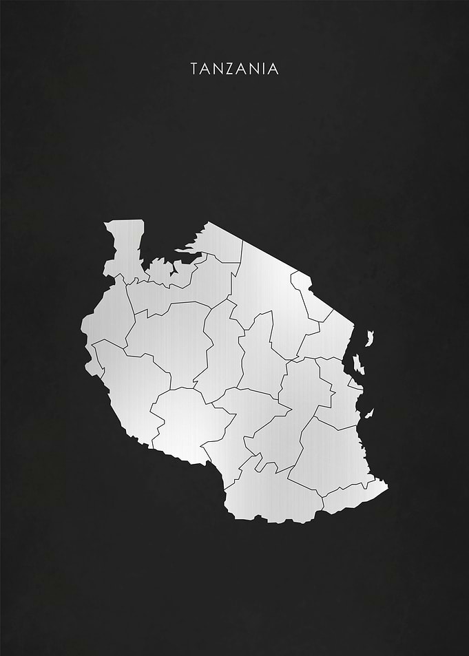 Silver Tanzania Map