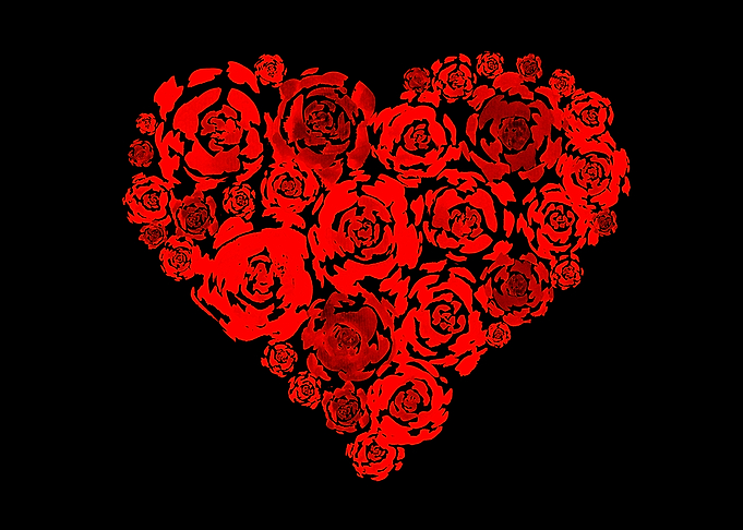 Red Roses Heart Black