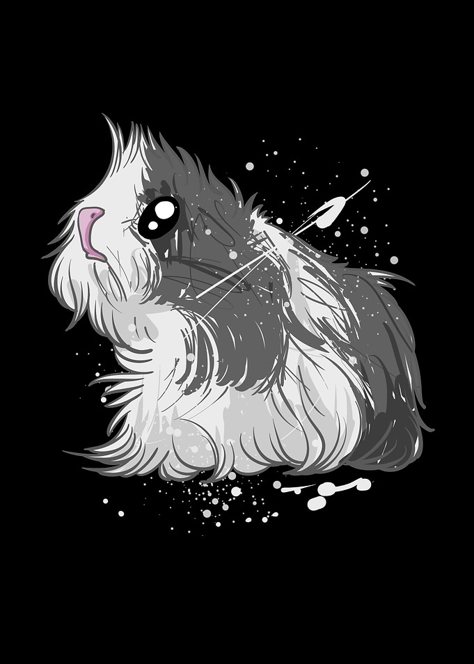 Mini Yak Guinea Pig