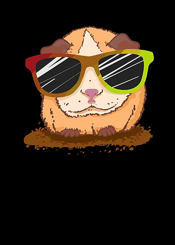 Guinea Pig Sunglasses