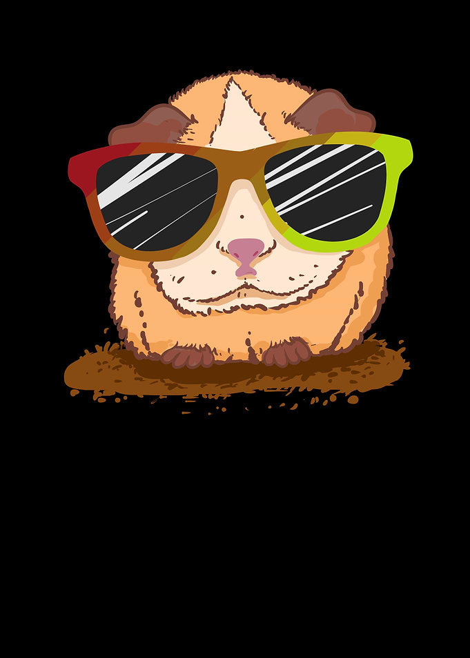 Guinea Pig Sunglasses