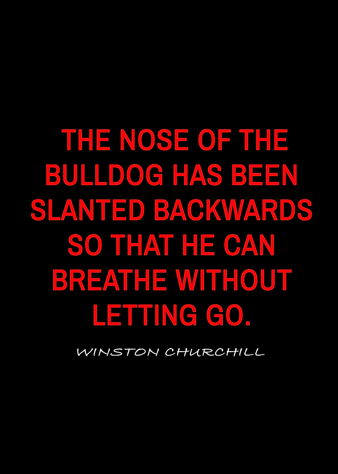 winston churchill quotes