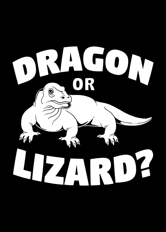 Dragon Or Lizard