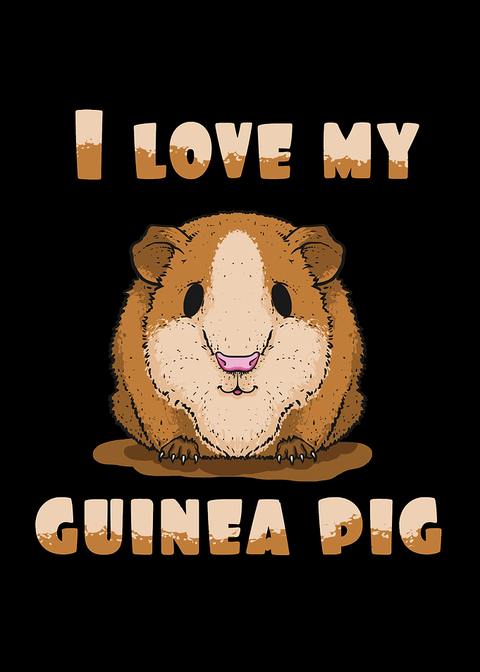 I love my Guinea Pig