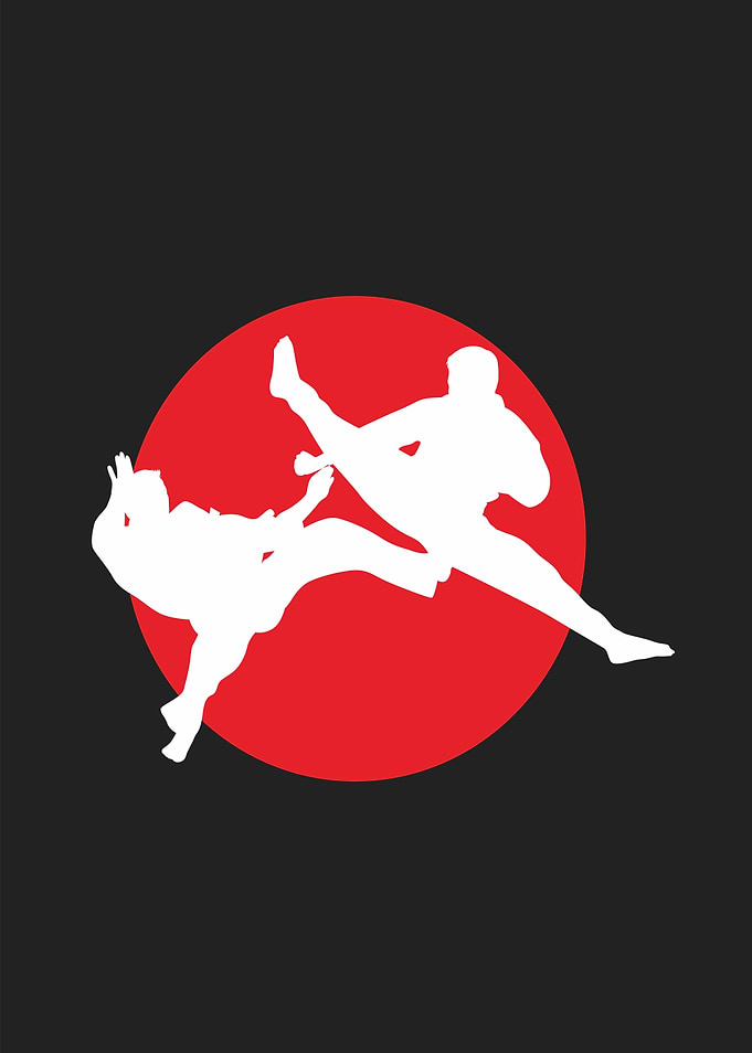 martialart fighter