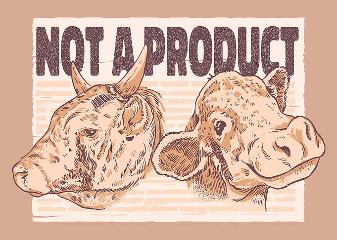 Cows Not Product Displate