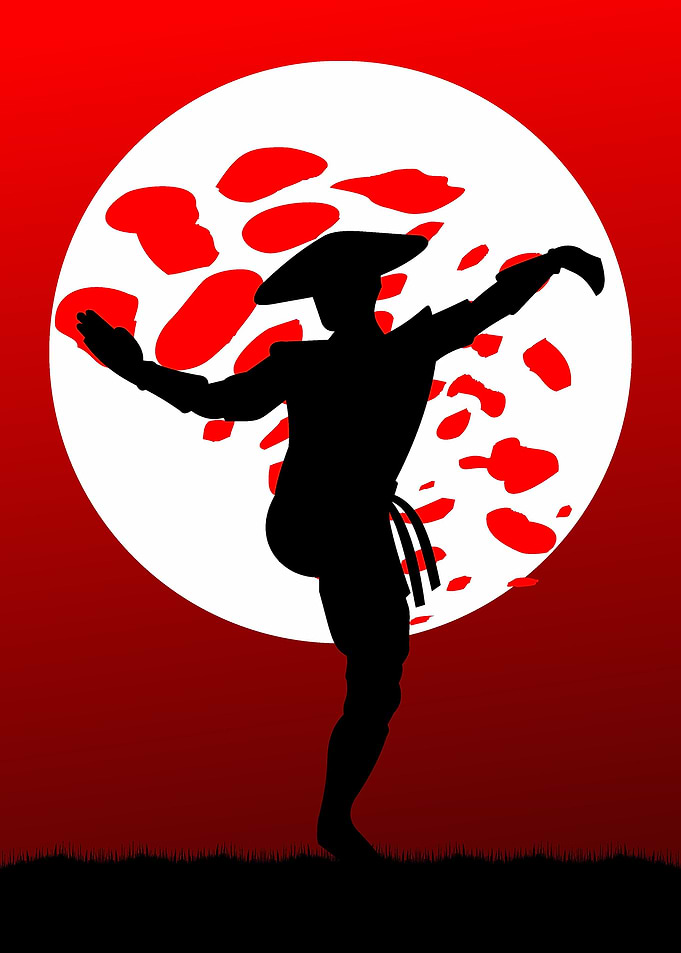 Kungfu ninja