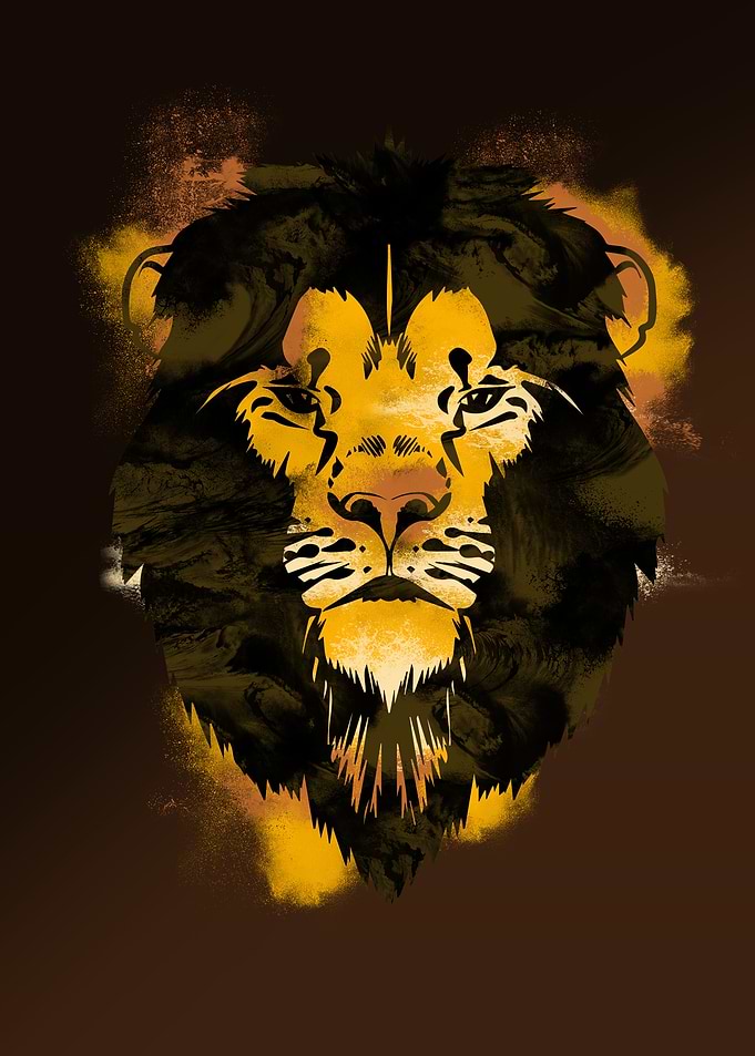 Lion African Animal