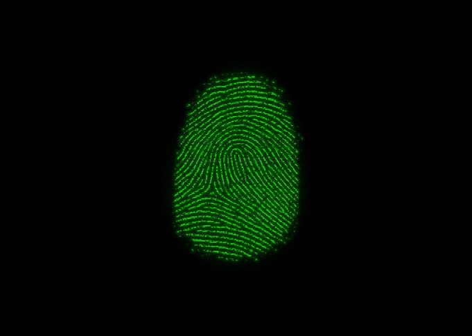 Fingerprints flash scan te