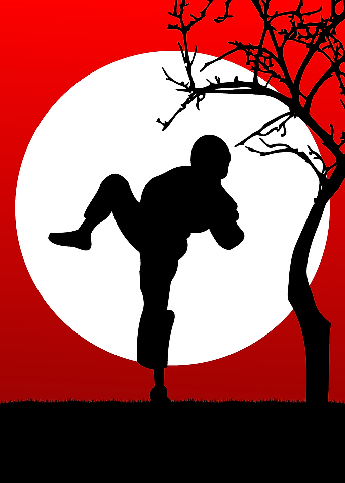 Taekwondo Top Kick