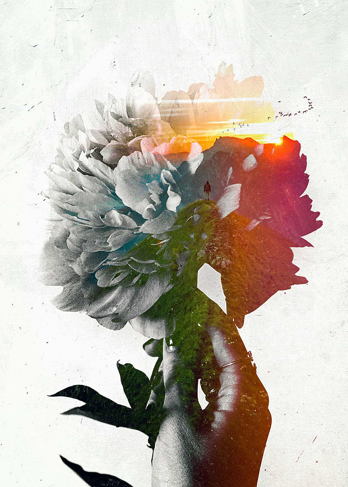 Memory Within A Dream