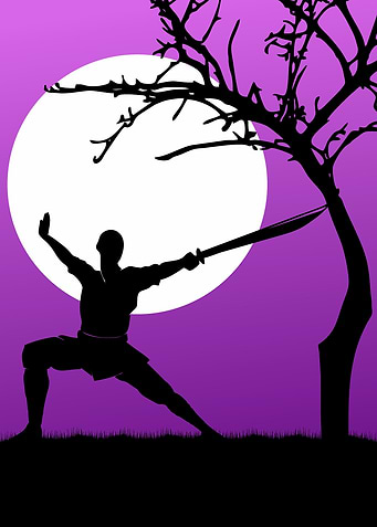 Sword Kungfu jutsu