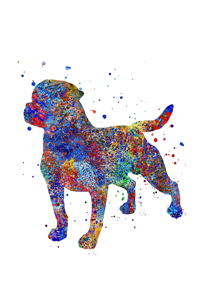 Rottweiler