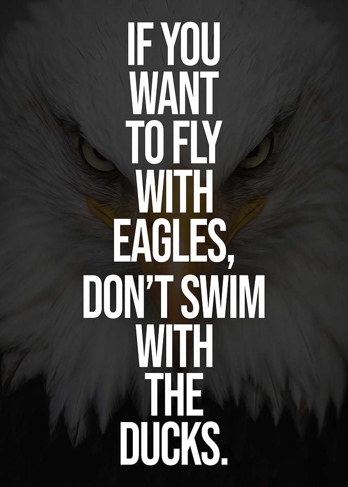 Fly With Eagles