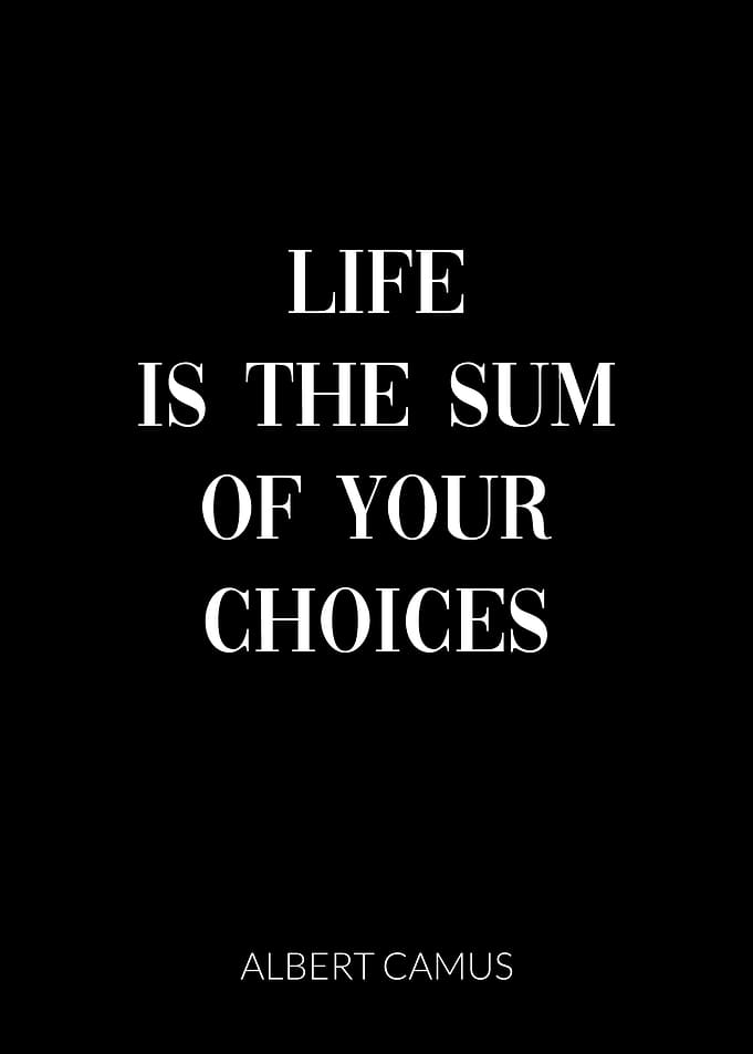 Albert Camus Quote