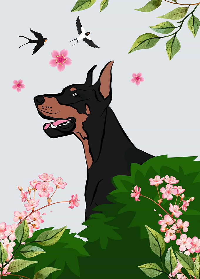 Spring