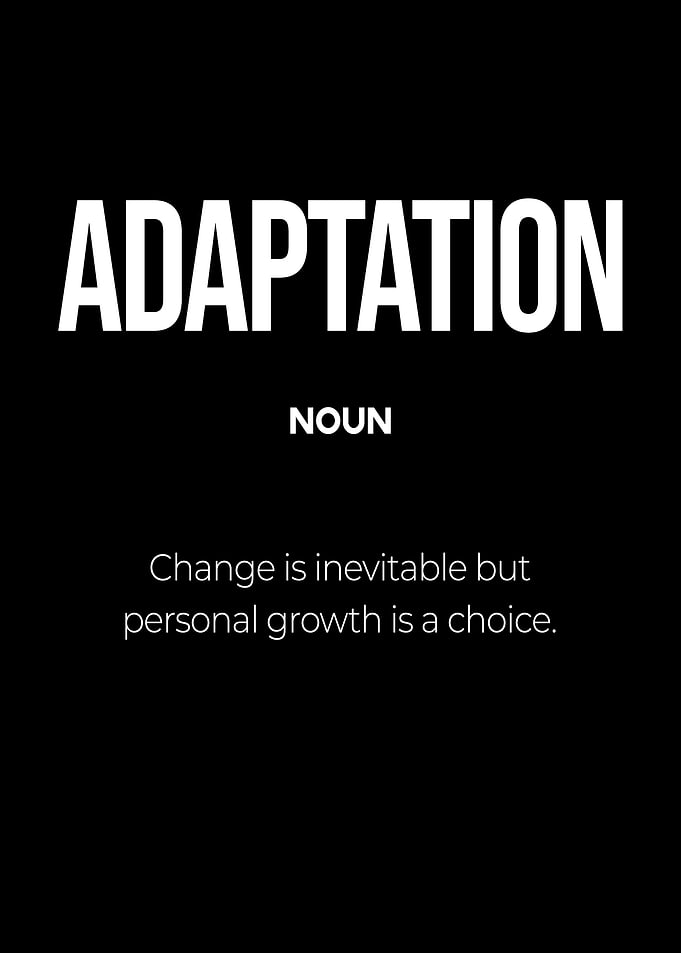 Adaptation Definition