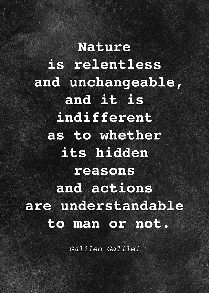 Galileo Galilei Quote D020