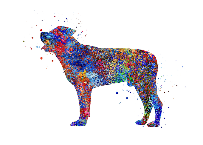 Rottweiler