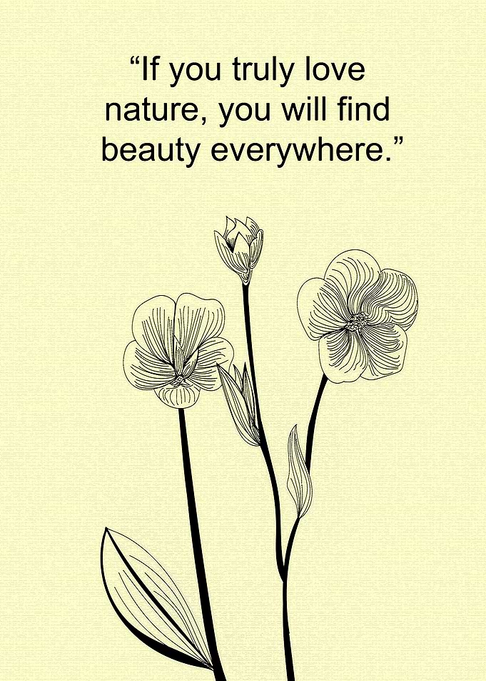 If you truly love nature