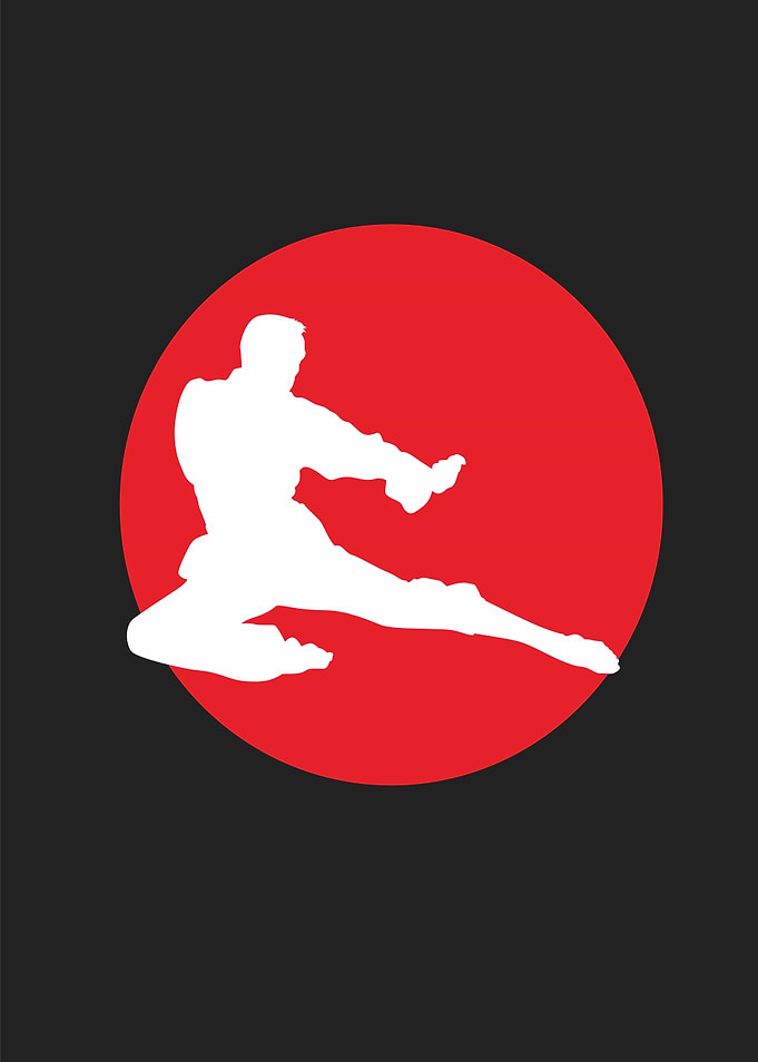 karate fighter
