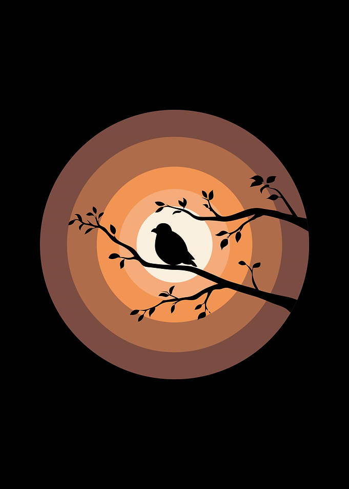 Negative Space of Bird