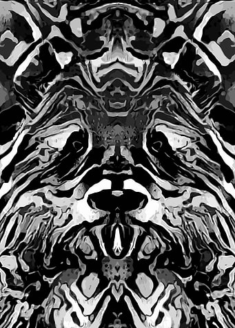 Panda Bear Black