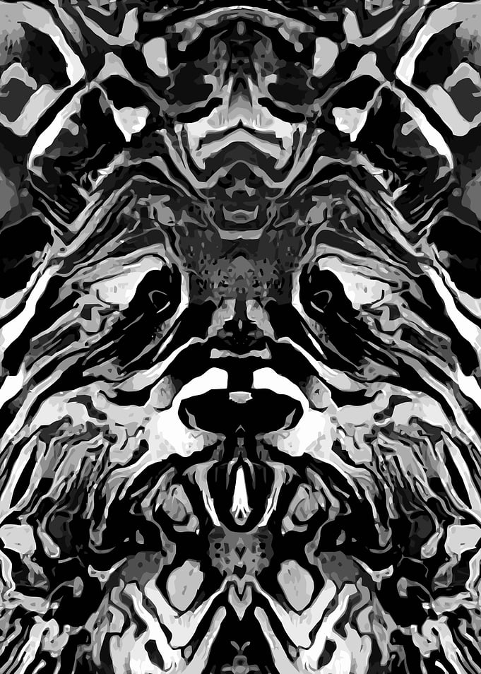 Panda Bear Black