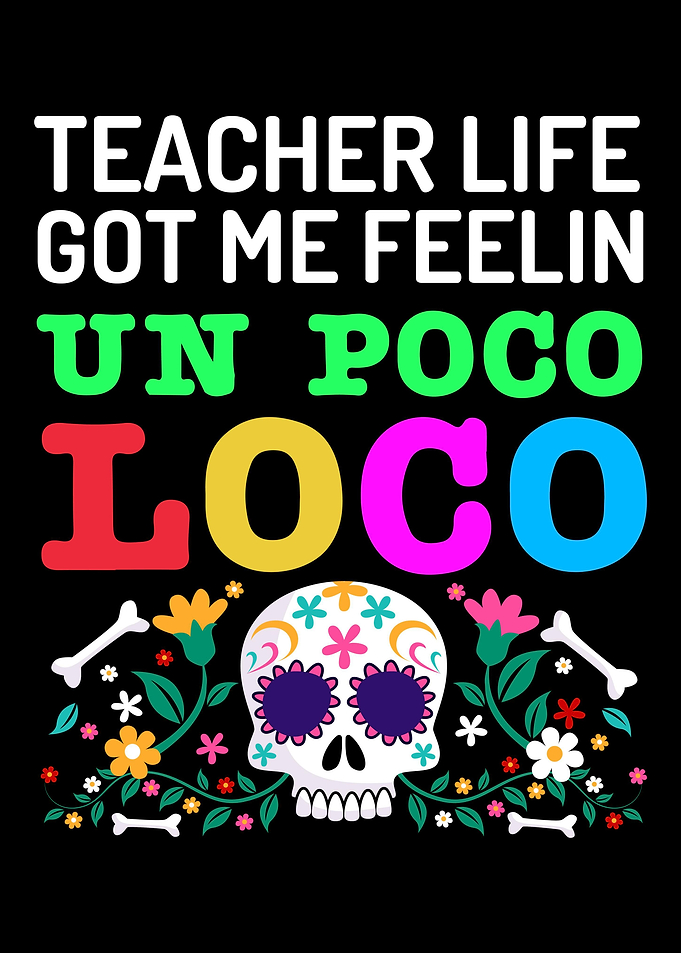 Teacher Teaching School