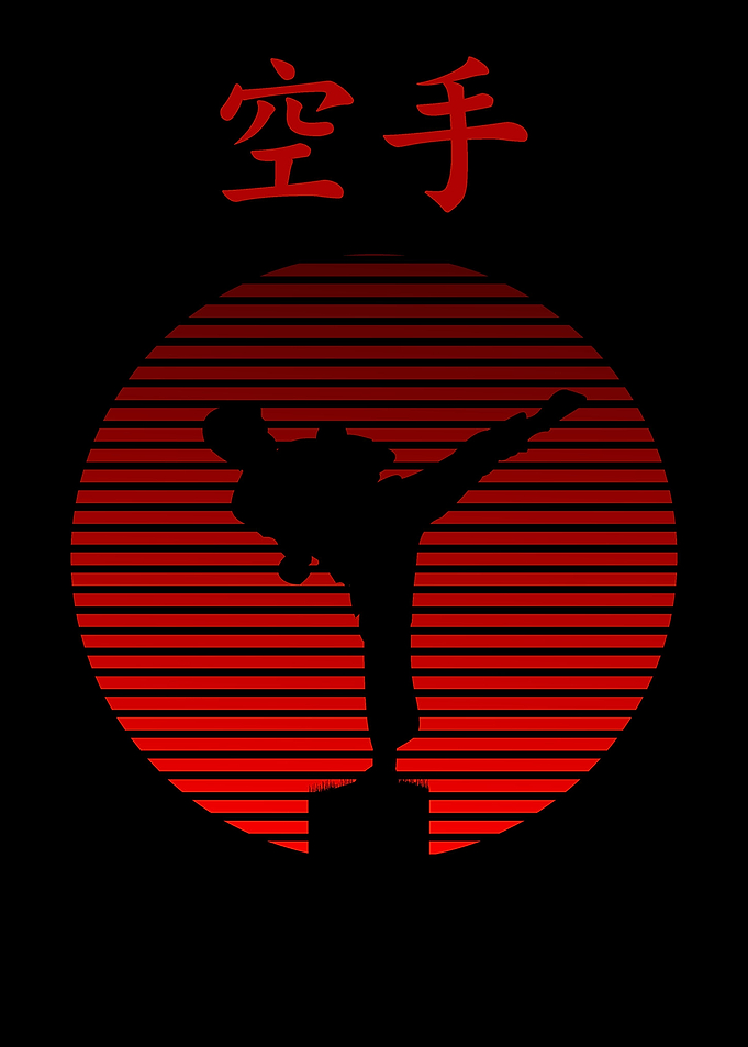 head Kick Karate Silhouete