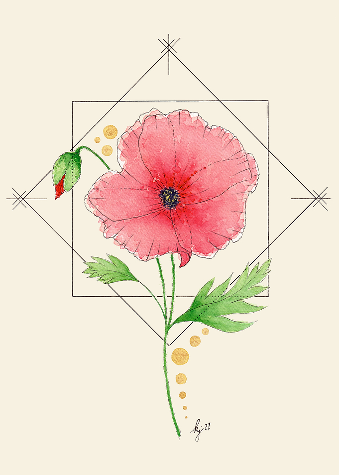 Feminine Focus Poppy
